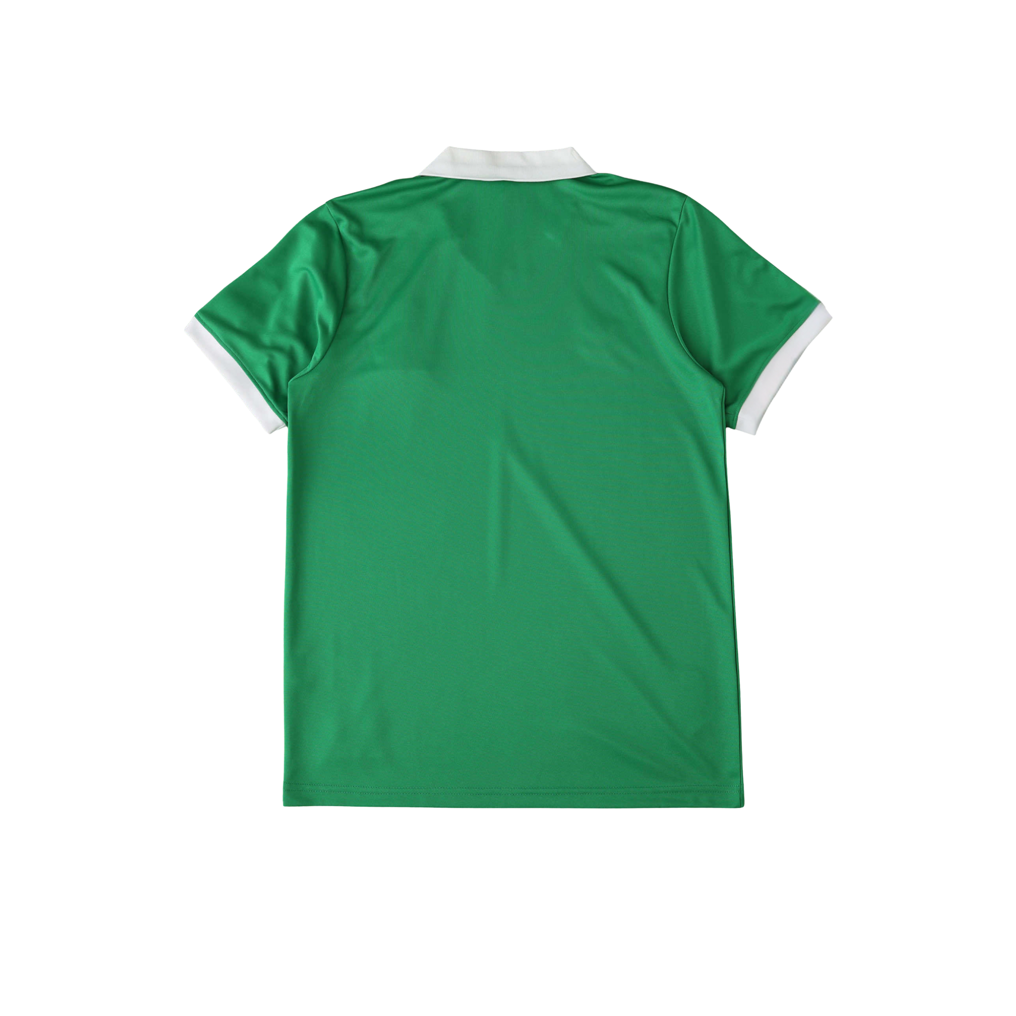 Mexico 95/96